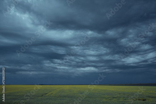 Cumulonimbus asperitas storm clouds with rapeseed in the background