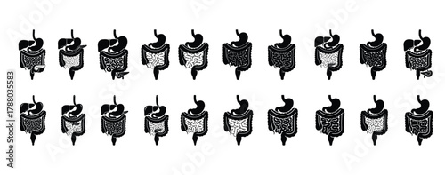 20 Human Digestive System Icons Set