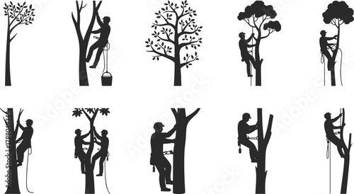 Set of arborist silhouettes climbing and maintaining trees using ropes and harnesses in black and white vector style