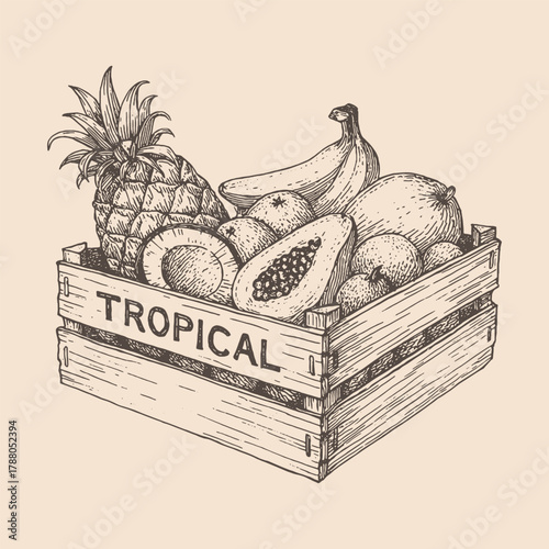 Hand-drawn tropical fruits in wooden crate vector illustration, vintage sketch style perfect for packaging, labels, and organic product design.