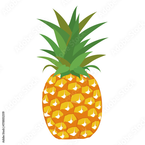 Fresh pineapple fruit illustration, summer pineapple fruit theme. Summer design for holiday promotion and printed on clothing.