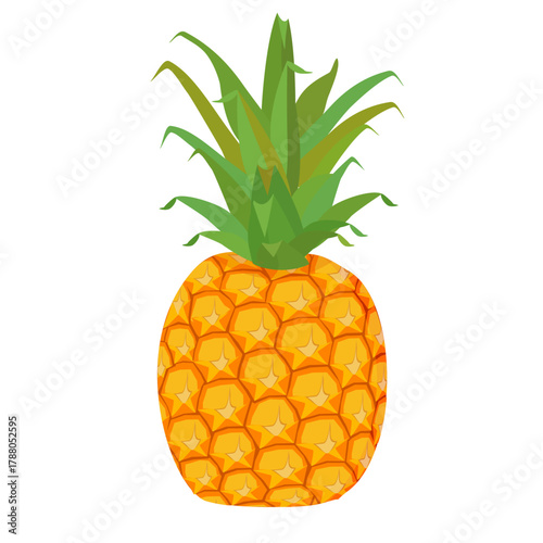 Fresh pineapple fruit illustration, summer pineapple fruit theme. Summer design for holiday promotion and printed on clothing.