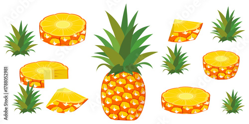 Fresh pineapple fruit illustration, summer pineapple fruit theme. Summer design for holiday promotion and printed on clothing.