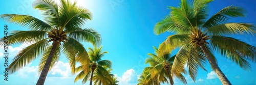 Wallpaper Mural Idyllic sunny day scene featuring lush green coconut palm trees swaying gently in a tropical breeze, vibrant blue sky overhead Perfect for travel, vacation, or paradise themes , trees, beauty Torontodigital.ca