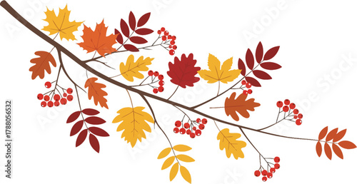 Autumn branch with colorful leaves and red berries