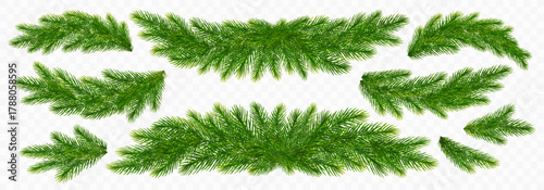 Christmas spruce branches. Fir twigs with green needles. Realistic fir tree branches border isolated on transparent background for greeting New Year and Xmas cards. Vector illustration
