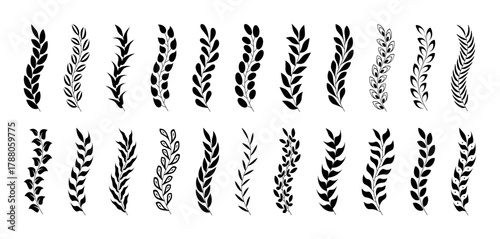 Branches wreaths and spikelet set on transparent background. Laurel ornaments elements. Hand drawn floral vintage wreaths. Illustration of floral laurel, vintage ornament wreath for wedding invitation