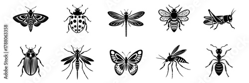 Black and white insect icons set with moth, ladybug, dragonfly, bee, grasshopper, beetle, mosquito, butterfly, wasp and ant