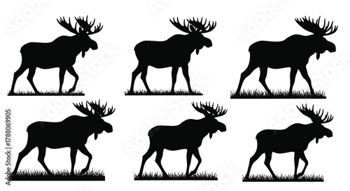 Silhouette collection of six majestic moose standing in grassy fields