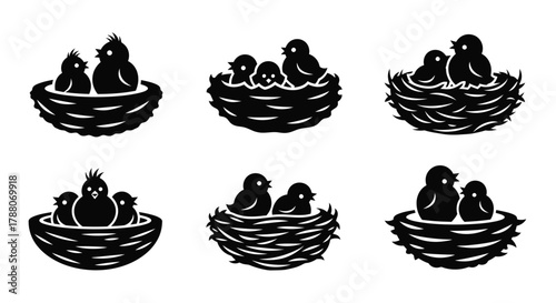 Chicks in nests a collection of monochrome bird family illustrations