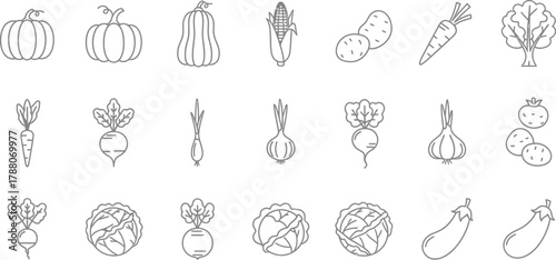Hand drawn vegetables in a vector style