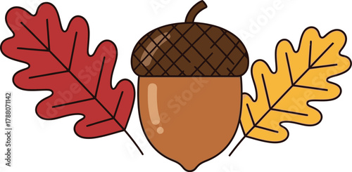 Acorn and leaves in a vector style drawing