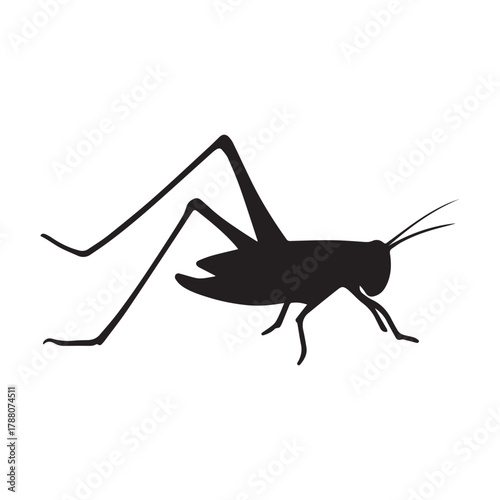 Stylised Grasshopper Silhouette in Side Profile with Long Hind Legs and Antennae Isolated Vector