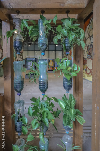 Aug 16 2025 Vertical Urban Garden Using Recycled Bottles for Sustainable Plant Growth