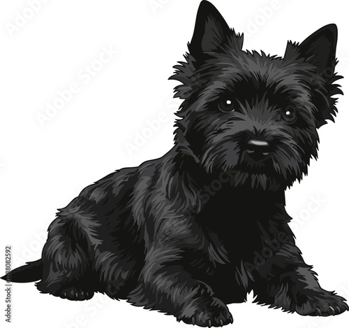 Cute black terrier dog sitting, small adorable pet illustration, realistic vector artwork of furry domestic animal design
