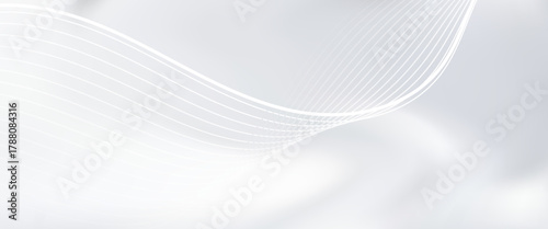 gray and white abstract background modern vector illustration