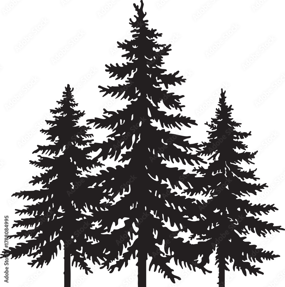 Obraz premium Three Black Silhouette Evergreen Pine Trees with Detailed Foliage on White Background Keywords: trees, pine, evergreen, coniferous, silhouette, black, white, background, nature, forest, foliage