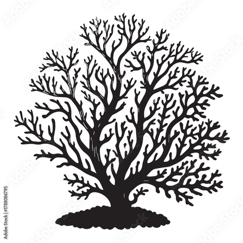 Black Underwater Coral Silhouette Vector, High Quality Illustration on White Background