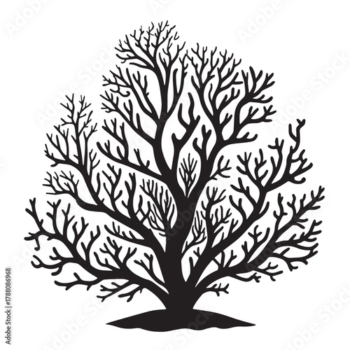 Black Underwater Coral Silhouette Vector, High Quality Illustration on White Background