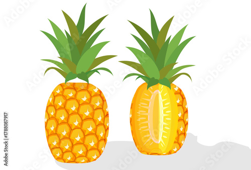 pineapple fruit illustration, summer fresh fruit theme	