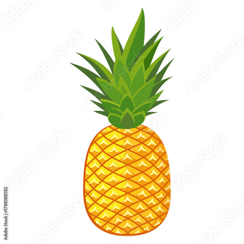 pineapple fruit illustration, summer fresh fruit theme