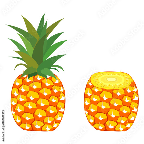 pineapple fruit illustration, summer fresh fruit theme	
