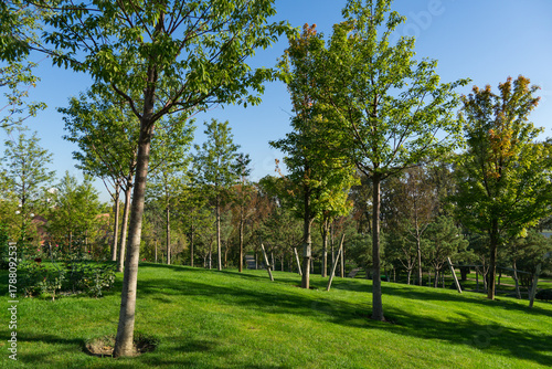 Foto Well-maintained public landscape city Park Krasnodar or Galitsky Park with young