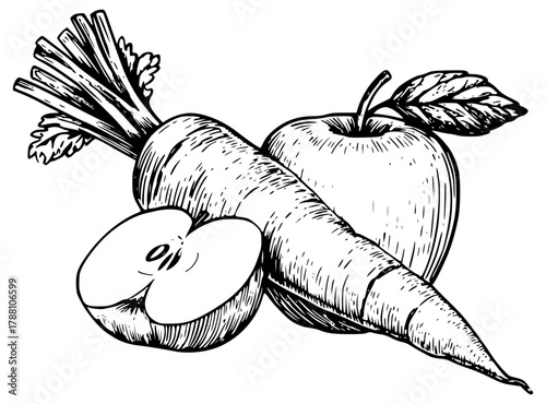 Carrot and apple lie next to each other vector