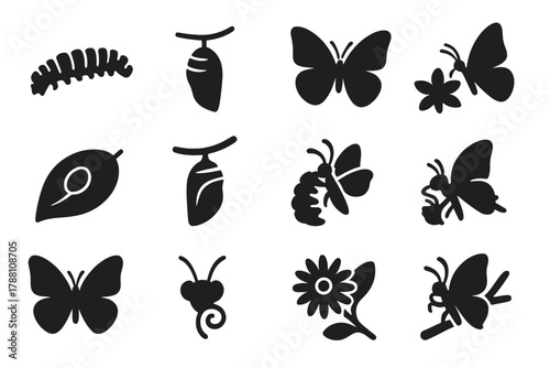 Butterfly Life Cycle Icons. Solid style icons of butterfly life cycle: caterpillar, chrysalis, wings, nectar, egg on leaf, cocoon,
