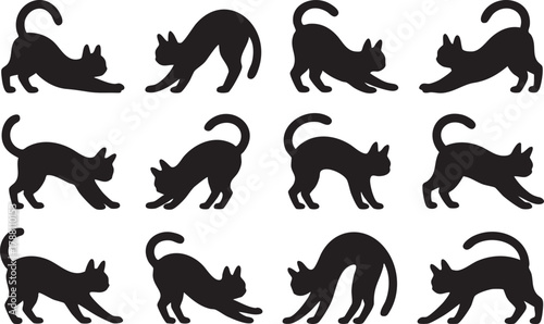Twelve black cat silhouettes stretching and posing dynamically against a clean transparent background illustrate feline flexibility
