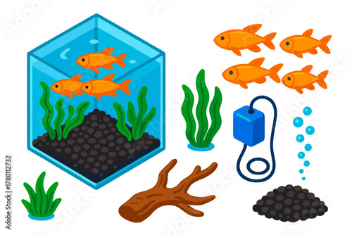 Vibrant Freshwater Aquarium Icons. Isometric vector illustration set Freshwater Aquarium: square tank, schooling fish, leafy