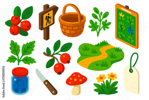 Urban Foraging Icon Set. Isometric vector illustration set Urban Foraging: wild berries, urban park trail sign, basket with handle