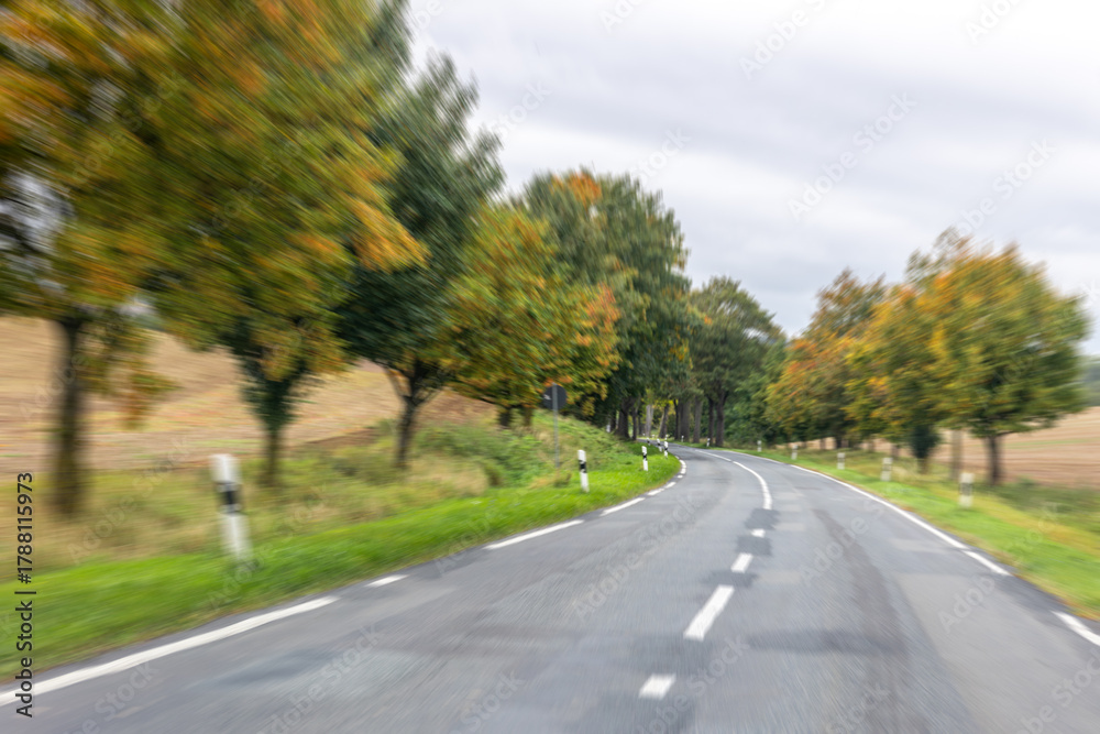 Fototapeta premium Empty rural road between autumn trees. Scenic journey.