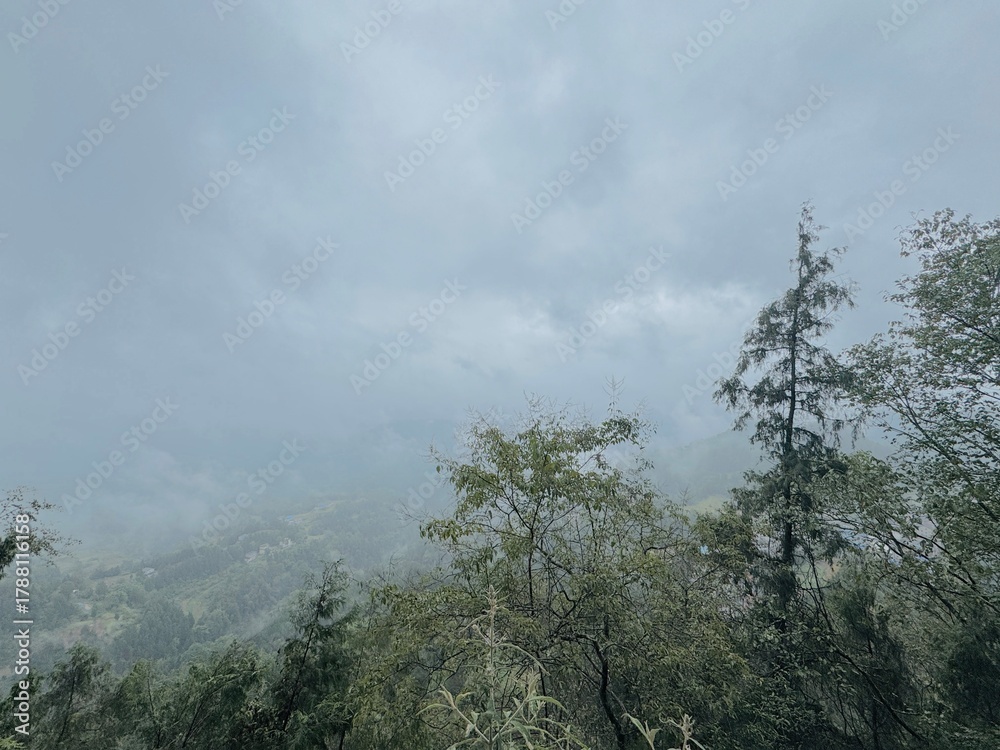 Obraz premium clouds over the forest