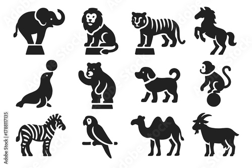 Circus Animal Icons. Solid style icons of circus animals: elephant, lion, tiger, horse, seal, bear, dog, monkey, zebra, parrot,