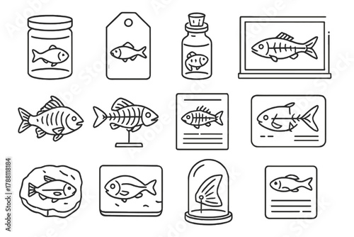 Preserved Fish Icons. Line style icons of preserved fish: specimen jar, label tag, corked vial, display case; dried fish, skeleton