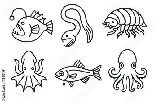 Deep Sea Icons. Line style icons of deep sea life: anglerfish, gulper eel, giant isopod, vampire squid, lanternfish, dumbo octopus