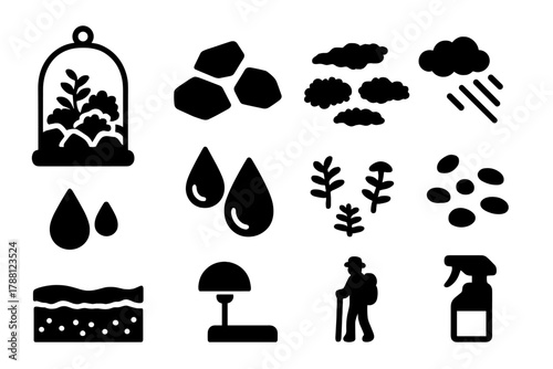 Indoor Moss Terrarium. Solid style icons of Indoor Moss Garden: Glass Terrarium, Miniature Rocks, Various Moss, Mist, Water