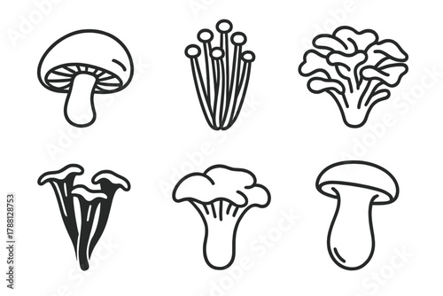Mushroom Line Icons. Line style icons of edible mushrooms: shiitake, enoki, maitake, king oyster, black trumpet, hedgehog mushroom