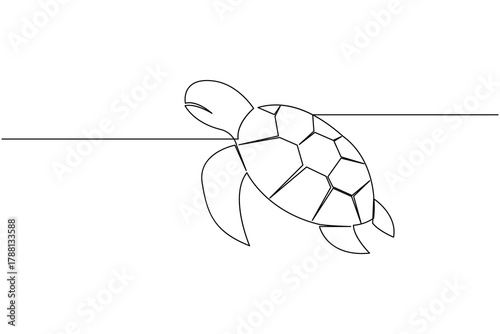 Turtle continuous one line drawing simple minimalist marine animal design