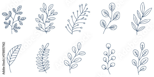 Collection of Hand-Drawn Botanical Elements and Leaves in Navy Blue