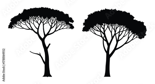 Silhouettes of two trees with dense foliage against a white background