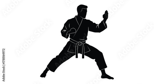 Silhouette of a martial artist in a dynamic fighting pose