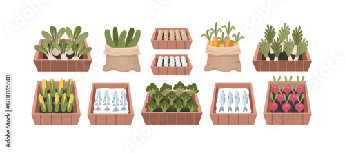 Fresh Farm Produce and Seafood Market Display. Farmer market product. Vegetable in wooden crate. Fish in crate.