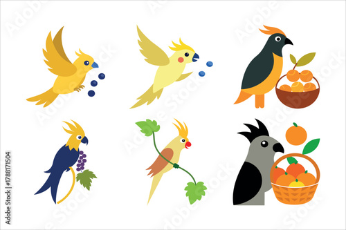 A Cute Cockatiel Set Vector Art Illustration
