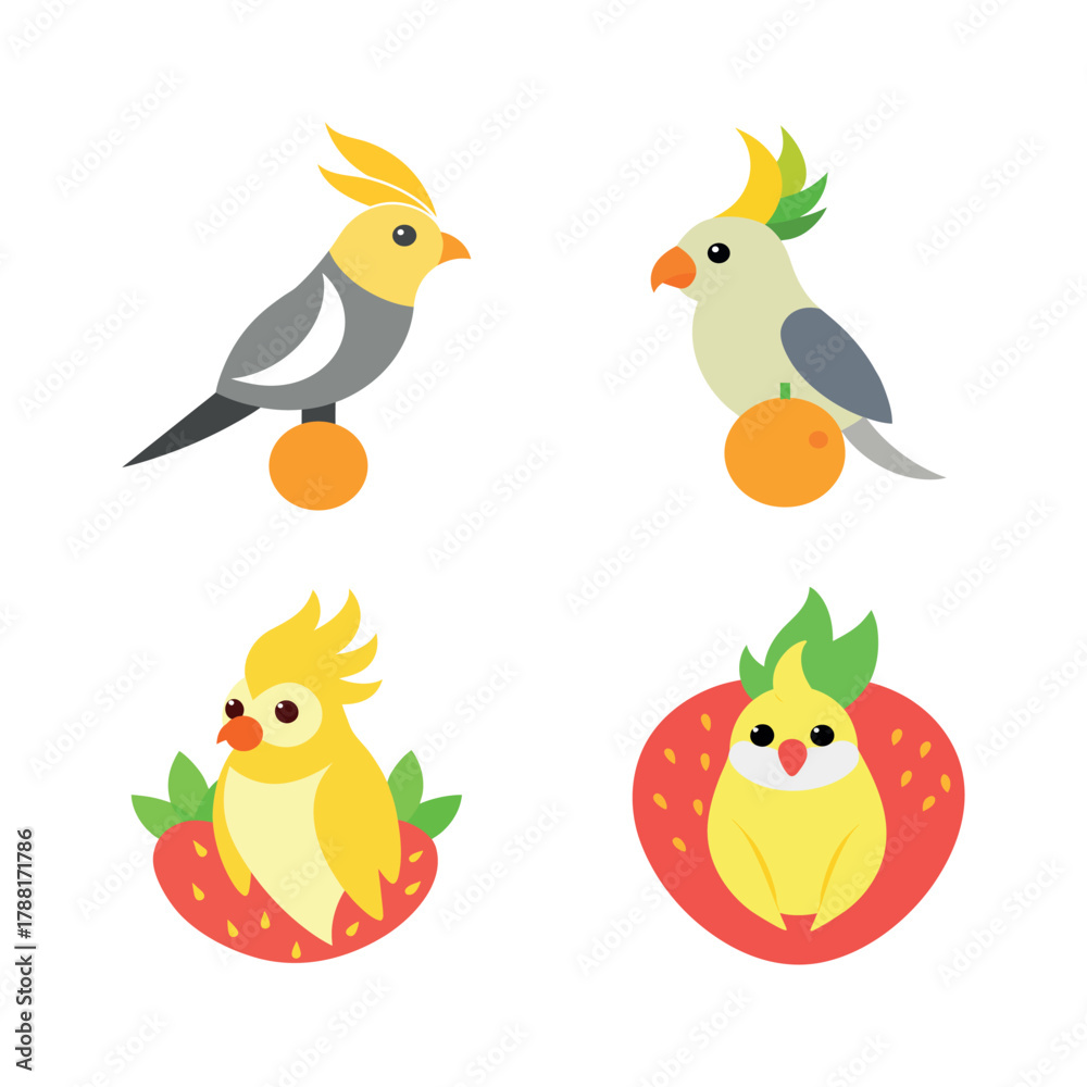 Fototapeta premium A Cute Cockatiel Set Vector Art Illustration