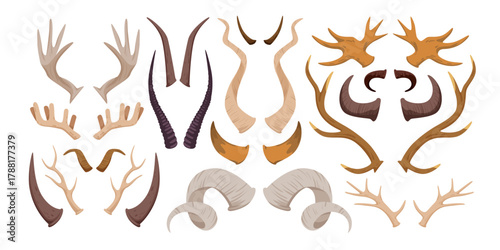 Diverse set of animal horns and antlers in flat style showing different shapes, sizes, and species for wildlife, nature, and zoology themes isolated vector illustration