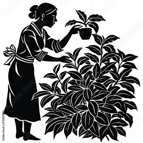 Woman Gardening Plant Silhouette, Houseplant Care and Gardener Illustration on White Background