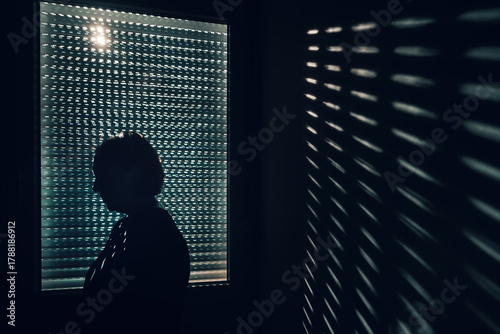 Photos Silhouette of a woman standing at a dark window, dramatic blinds light creating shadow pattern on wall, expressing loneliness, stress or deep thought in moody interior