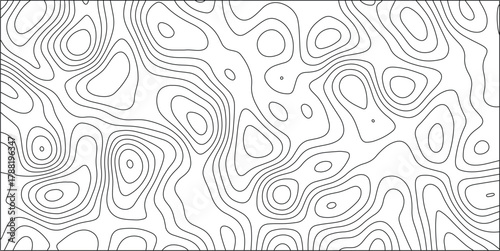 Abstract topographic contour map lines creating an organic, flowing pattern on a white background with a black border